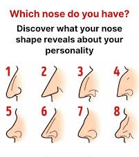 nose-personality