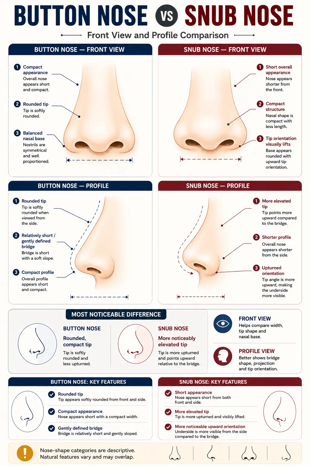 Button nose and snub nose comparison showing tip rotation differences