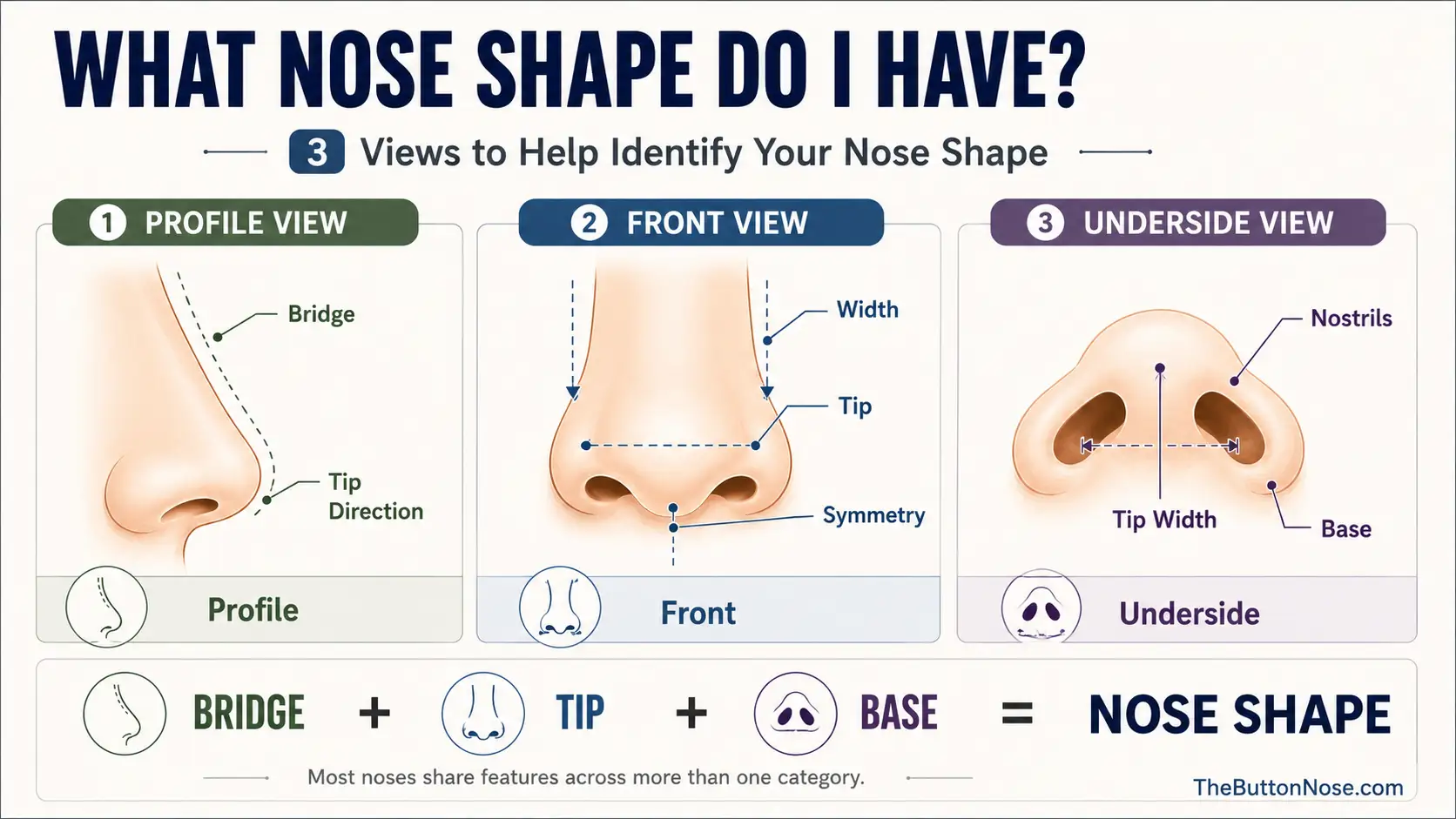 what-nose-shape-do-i-have