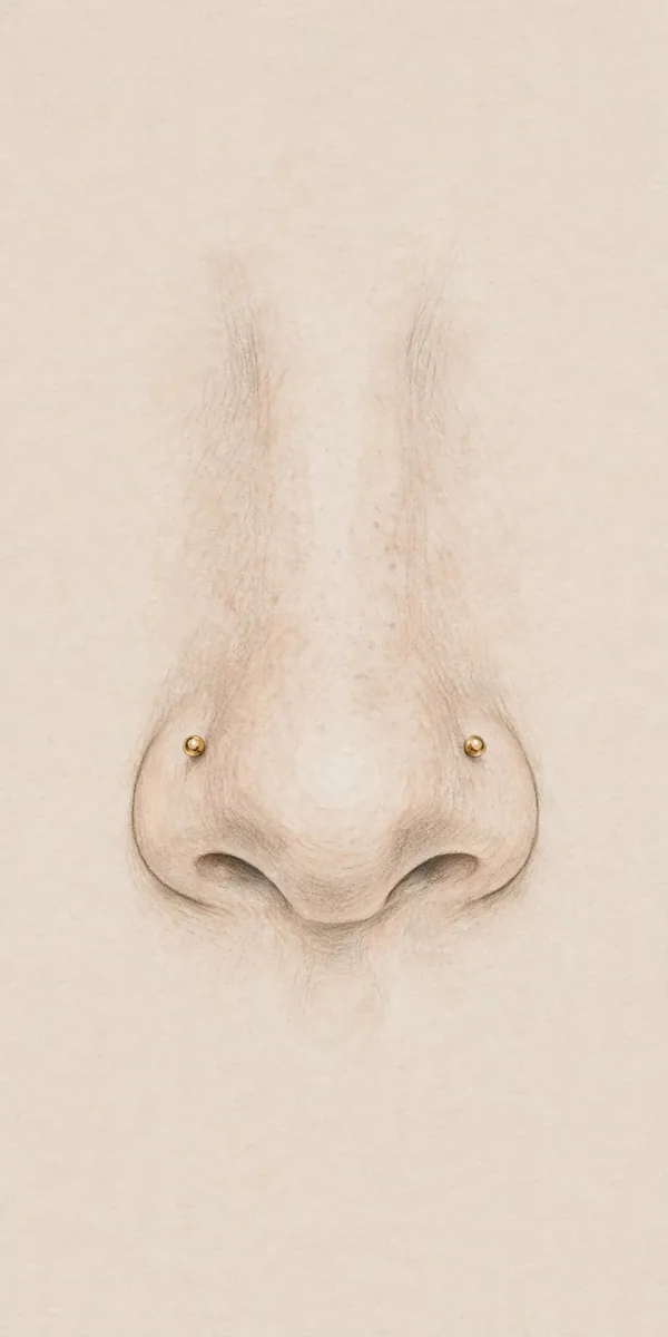 Double Nose Piercing: Styles, Pain and Healing Guide 2 Illustration of a double nose piercing with one stud on each nostril