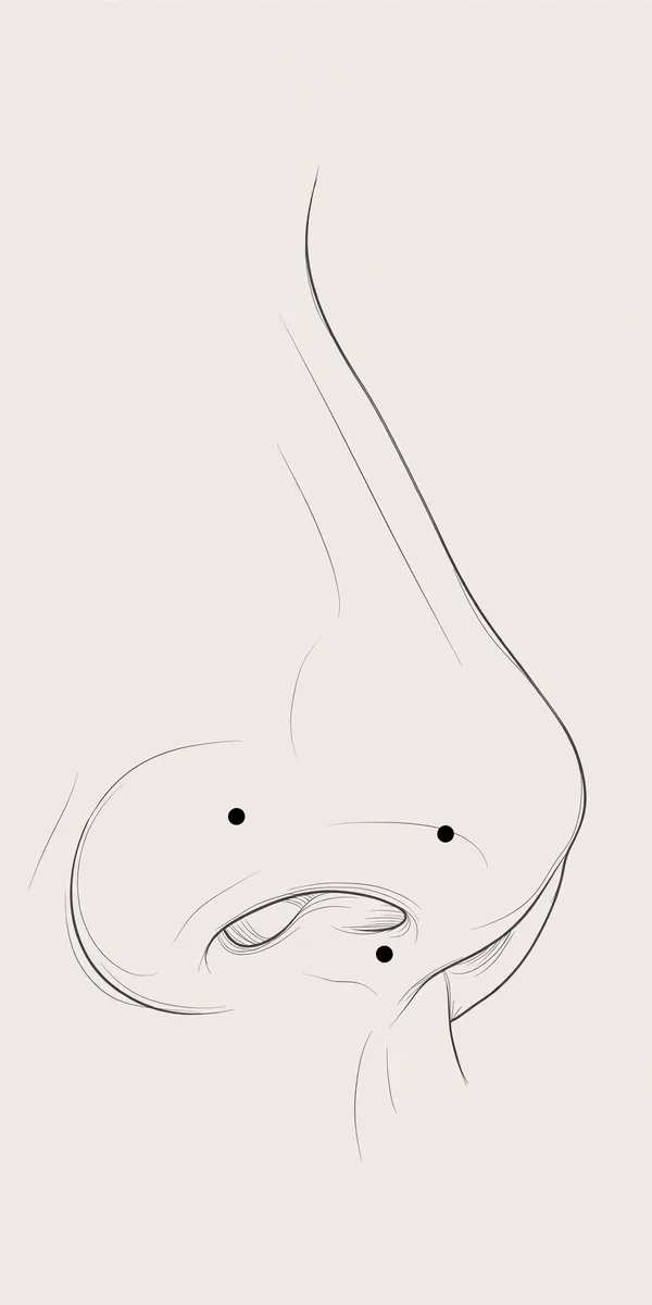 Double Nose Piercing: Styles, Pain and Healing Guide 4 Illustration showing ideal placement spots for a double nose piercing